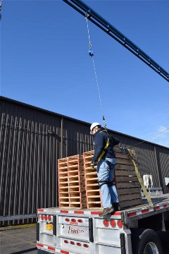 Monorail fall protection system